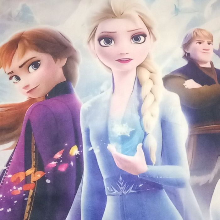 Housse de coussin Frozen la reine des neiges - photo numéro 2