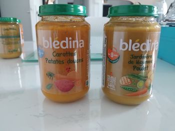 Bledina