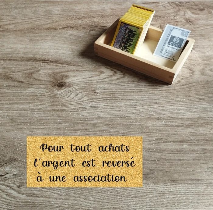 ⭐ Cartes de foot Belgian red devils 2014 Panini #emyfleury_cartes - photo numéro 1