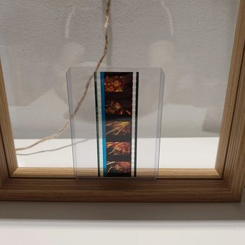 Pellicule démon slayer tanjiro