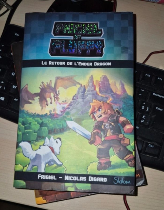 2 livres Frigiel et Fluffy tome 1 et 2 - photo numéro 3