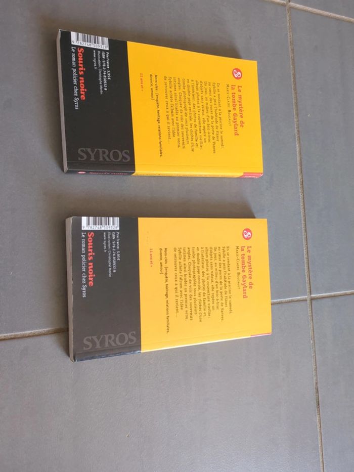 Livre le mystère de la tombe gaylard - photo numéro 2