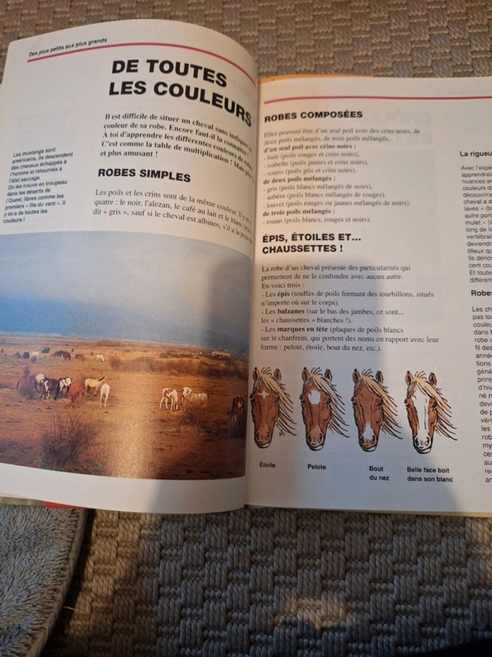 Livre - photo numéro 3