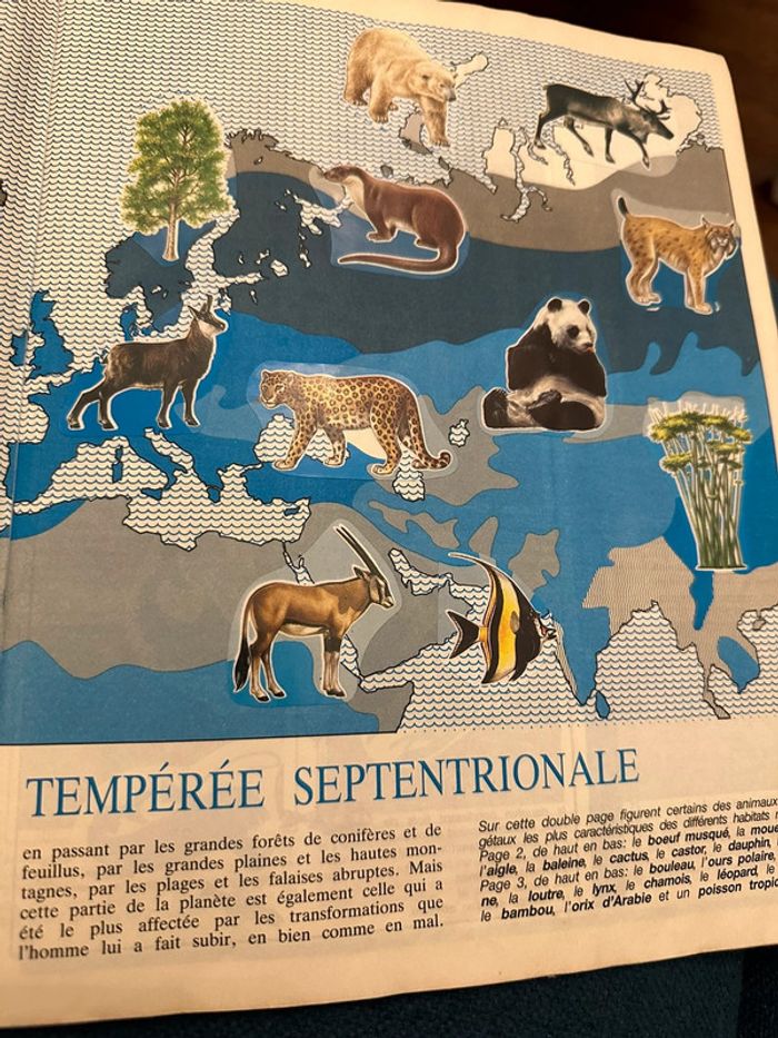 Album Panini complet WWF Nature en danger fonds mondial pour la nature stickers autocollants livre - photo numéro 6