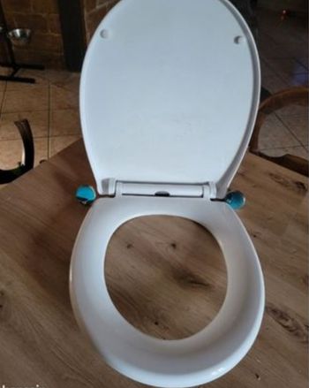 Lunette de toilette