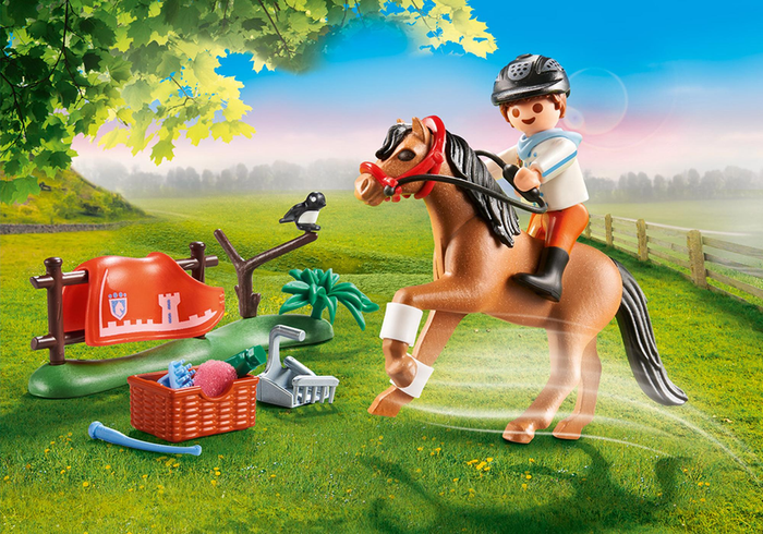 PLAYMOBIL 70516 Cavalier et poney Connemara - photo numéro 2