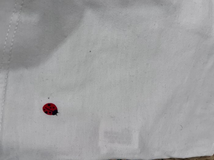 Ensemble 12 mois - photo numéro 6