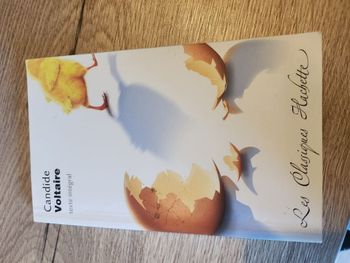 Livre " Candide "