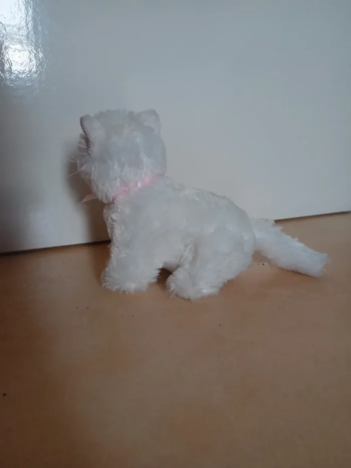 Jolie petit chat en peluche - photo numéro 4