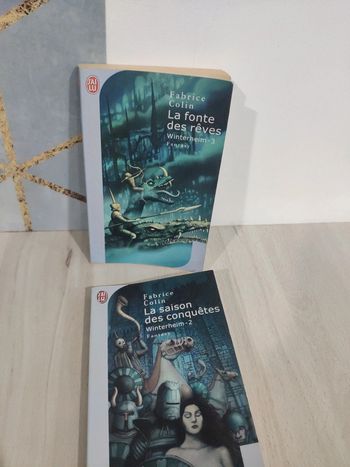 Lot 2 livres poches Winterheim 2 et 3 fantasy fonte rêves saison conquêtes Colin