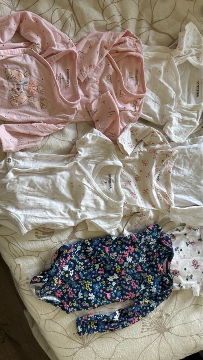 Lot de body pour fille 1 mois (bodies) - photo numéro 5