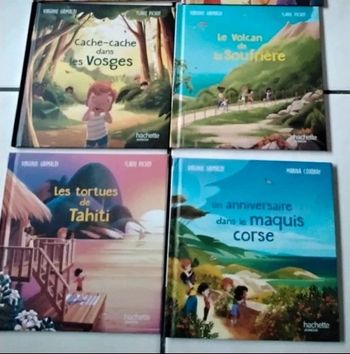 Lot de 4 livres enfant - Merveilles de France