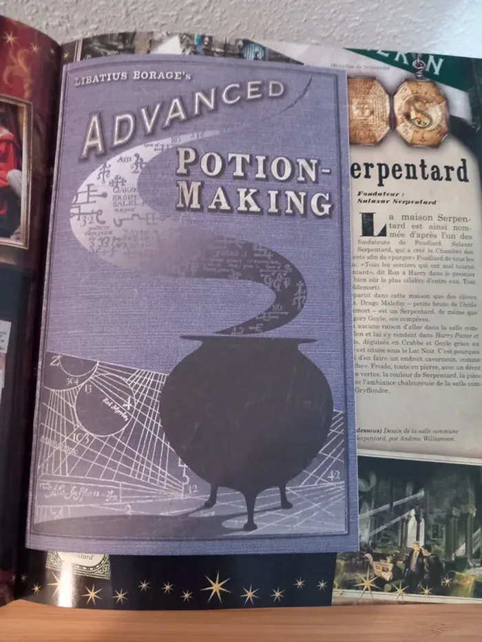 Livre Harry Potter la magie des films - photo numéro 8