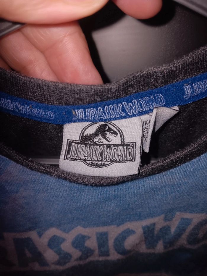 T-shirt Jurassic World 6/7 ans - photo numéro 3