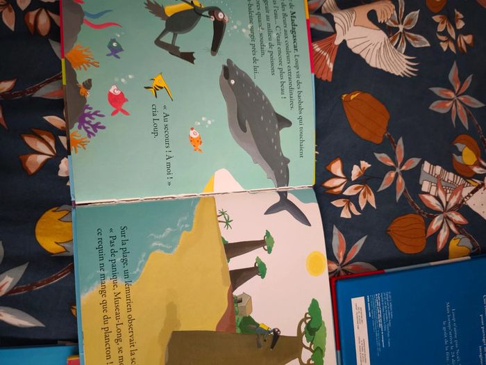 Lot livres le loup - photo numéro 5