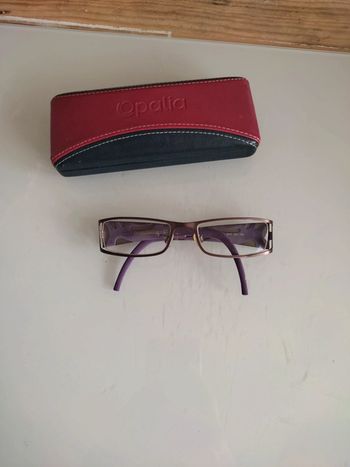Lunette de vue