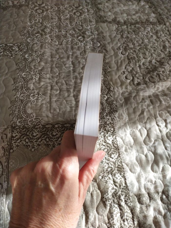 Les Triades de Shanghai de Bi Feiyu - photo numéro 4