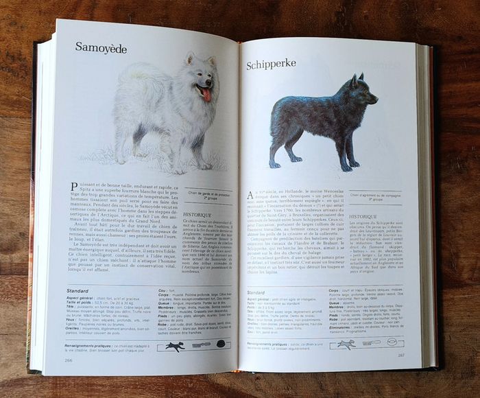 Guide Des Chiens, Sélection Du Reader's Digest - photo numéro 6