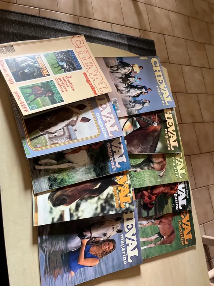 Lot de 10 anciens magazines sur les chevaux