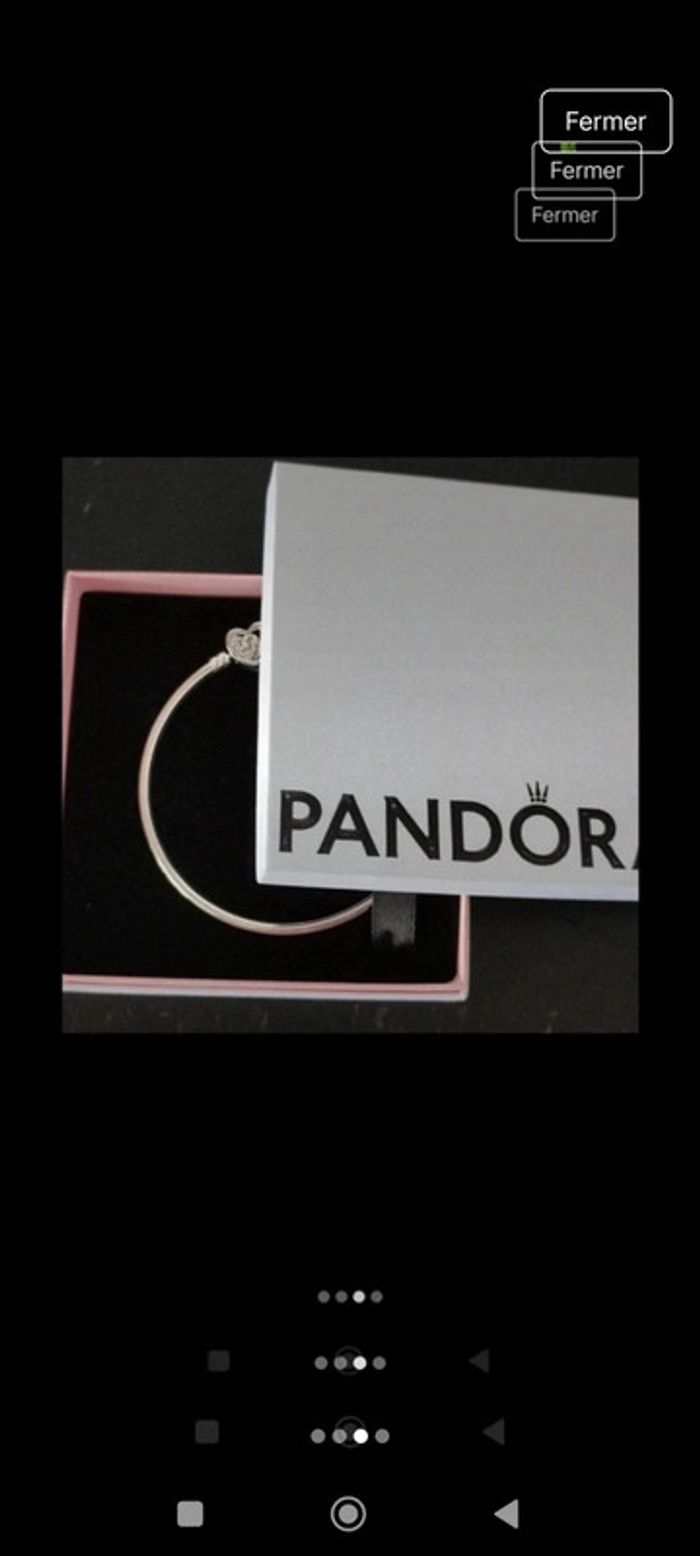 Jonc Pandora - photo numéro 3