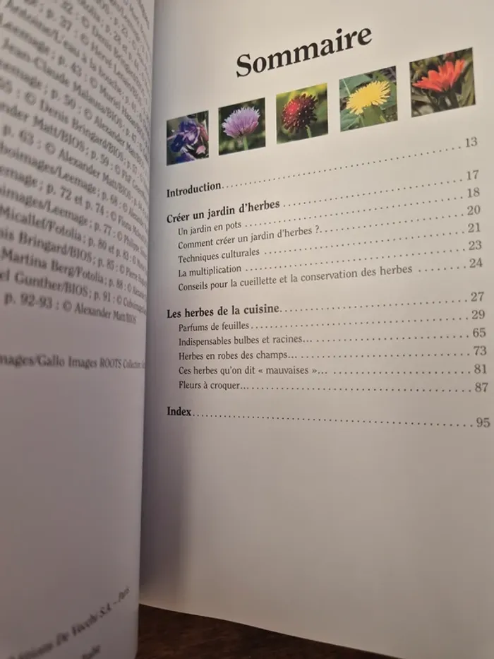 📚 Herbes en cuisine📚 - photo numéro 3