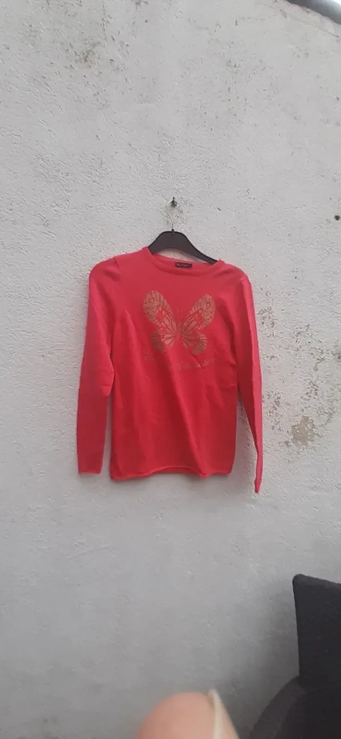 Robe ou pull long papillon manches longues 14 ans