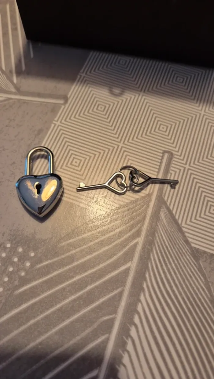 Boîte rangement avec cadenas - photo numéro 4