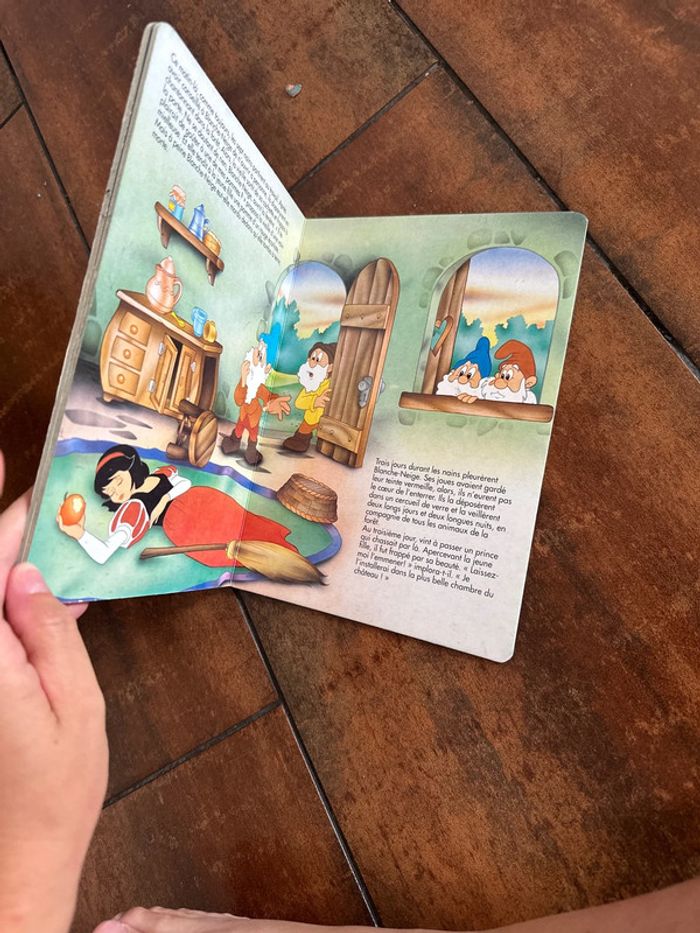Livre blanche neige - photo numéro 7