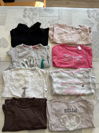 Lot tee-shirts ml 12 mois
