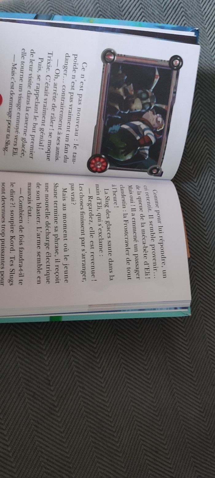 Livre skugterea le guérisseur - photo numéro 2