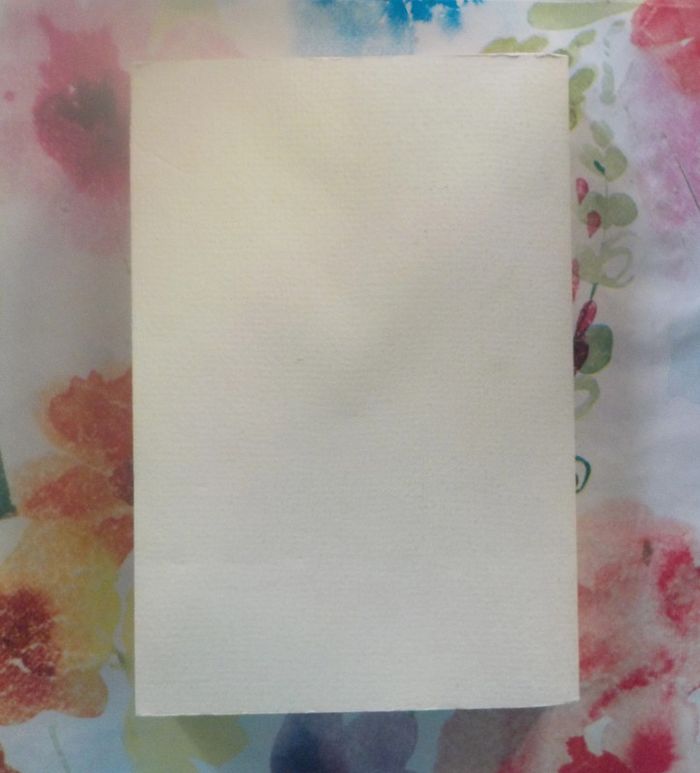 Guillemette fait des bêtises de Cecil Saint-Laurent Ed. Stock - photo numéro 2