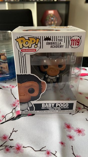 Pop baby pogo
