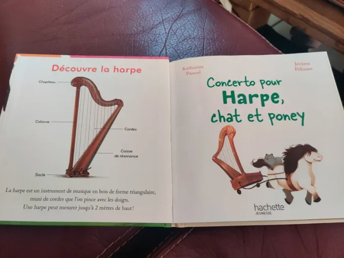 Concerto pour Harpe, chat et poney - photo numéro 3