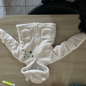 Manteau