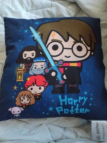 Coussin harry potter