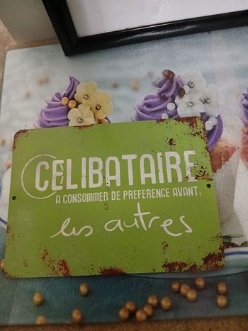 Plaque métallique Célibataire