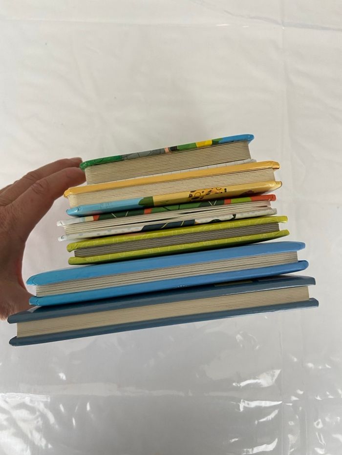 Lot de 6 livres d’éveil et histoires pour bébés et jeunes enfants - photo numéro 5