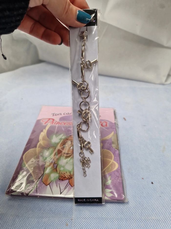 Carnet secret princesse Miya - photo numéro 3