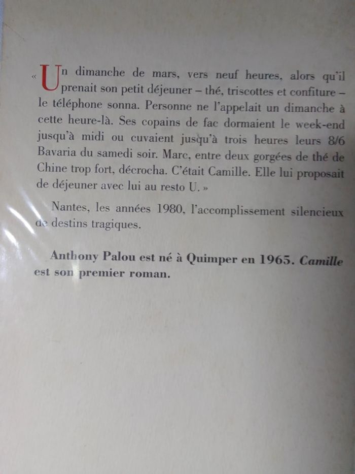 Anthony Palou - Camille - photo numéro 3