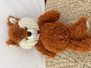 Doudou Peluche Renard Fox Cuddly Friends Soft Toy Plush