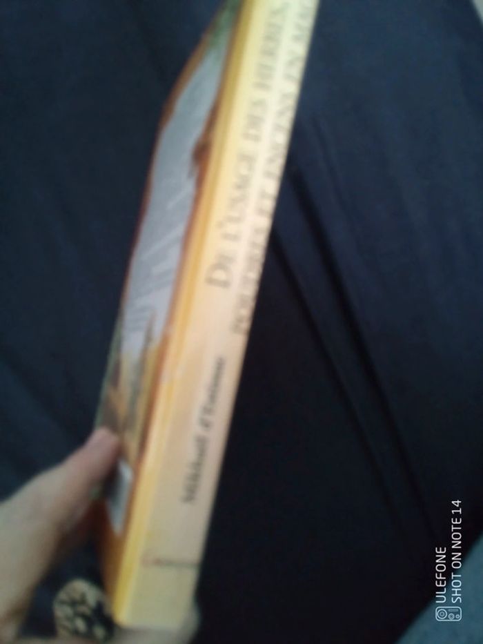 De l'usage des herbes poudres et encens en magie - photo numéro 4