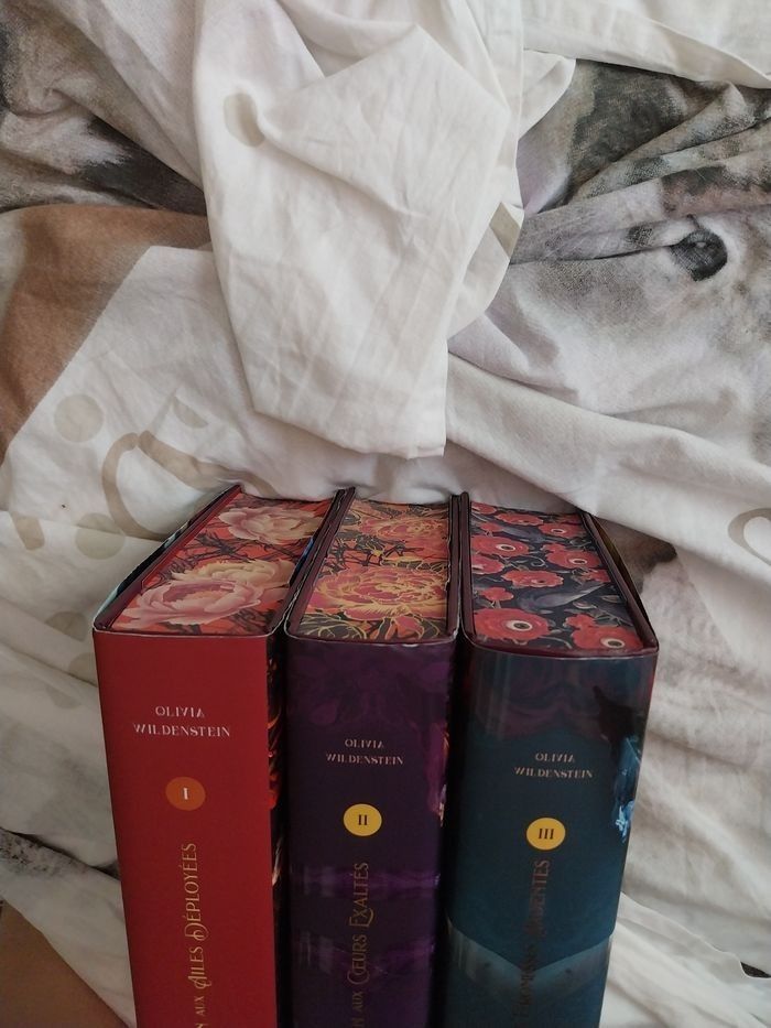 Romans Le Royaume des Corbeaux tomes 1 à 3 Reliés Collectors Olivia Wildenstein Korrigan - photo numéro 10