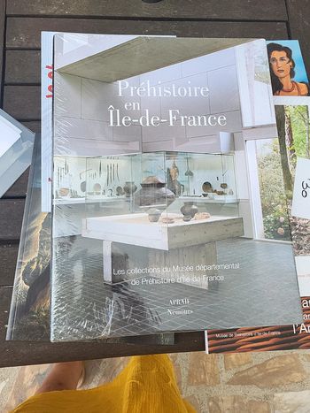 Livre préhistoire en Île de France