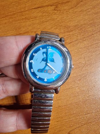 Montre DDP