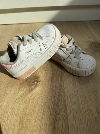 Basket puma