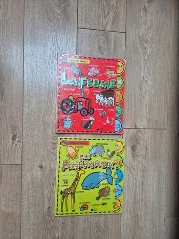 Lot de 2 grands livres imagiers