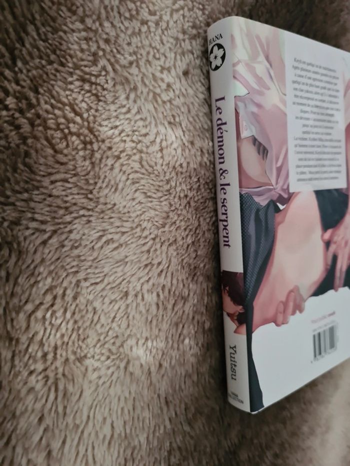 Manga Le démon et le serpent - photo numéro 3