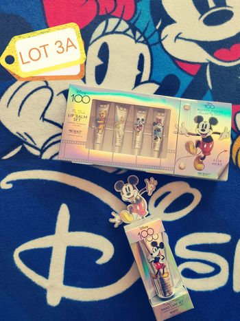Lot 3A Disney 100 ans