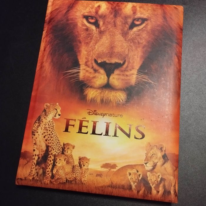 Livre Disney félins
