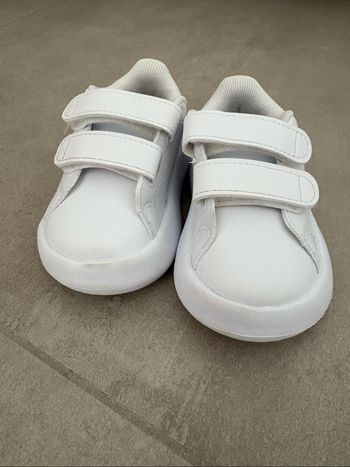 Basket adidas